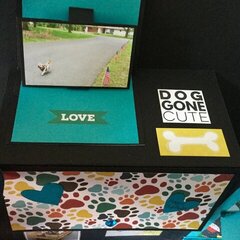 Card for Best Friend (loves teal and her Maltese Shih Tzu)
