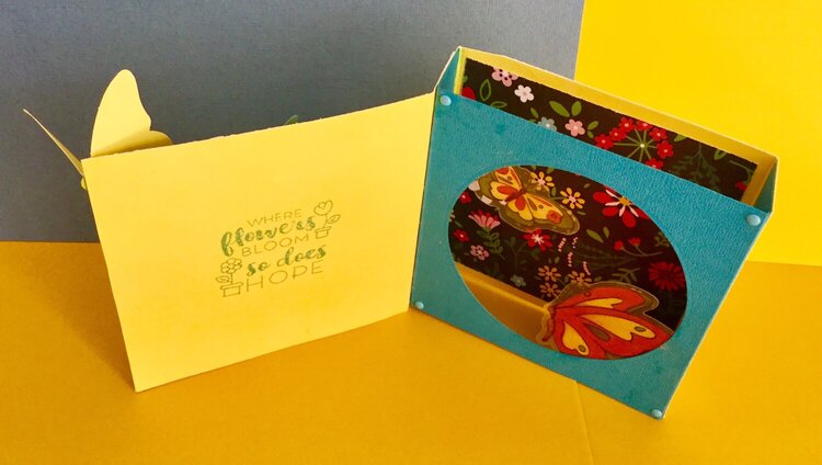 Butterfly Card with Window Inside (card&#039;s Interior)