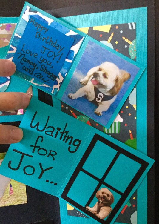 Hidden Dog Photos Birthday Card (Shows Shaggy waiting for her to come home.  He sits in the window)