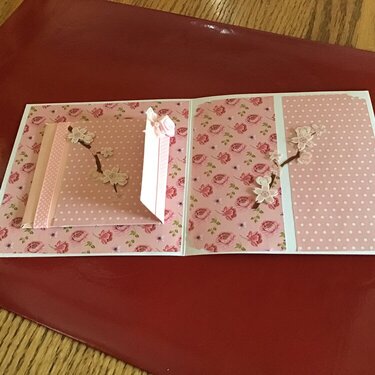 This card I created for Eliana my Granddaughter of the card.