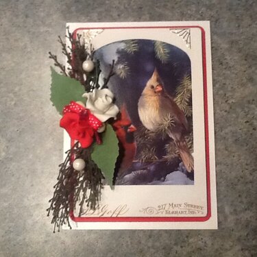My Christmas Cardinal Card