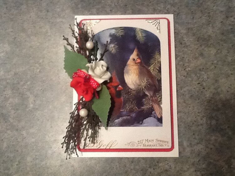 My Christmas Cardinal Card