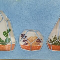 Terrariums