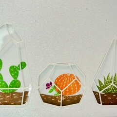Terrarium