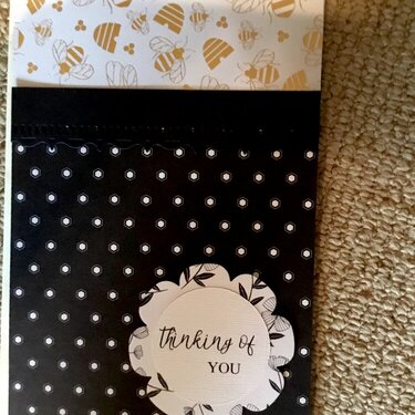STAMPIN UP CARDS