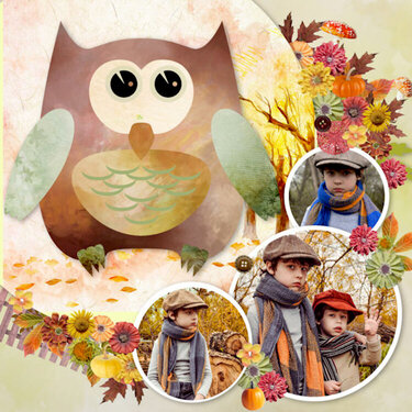 Pack de Templates  Leaves Fall all aroud
