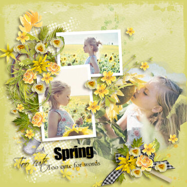 Template  Spring is 
