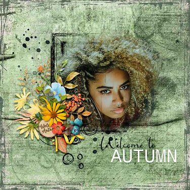 Autumn splendor-Collection