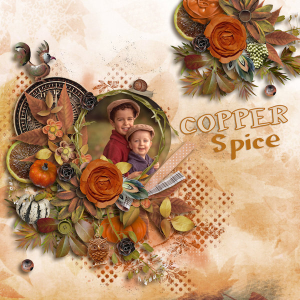 copper spice