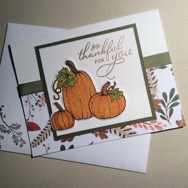 Pretty Pumpkins Thanksgiving card