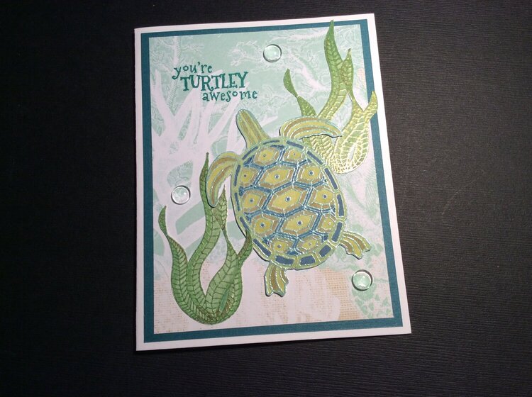 Turtle Birthday card