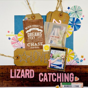 Lizard Catching Dreams