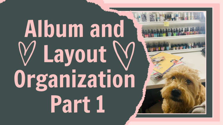 Album and Layout Organization Part 1