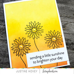 Sending Sunshine