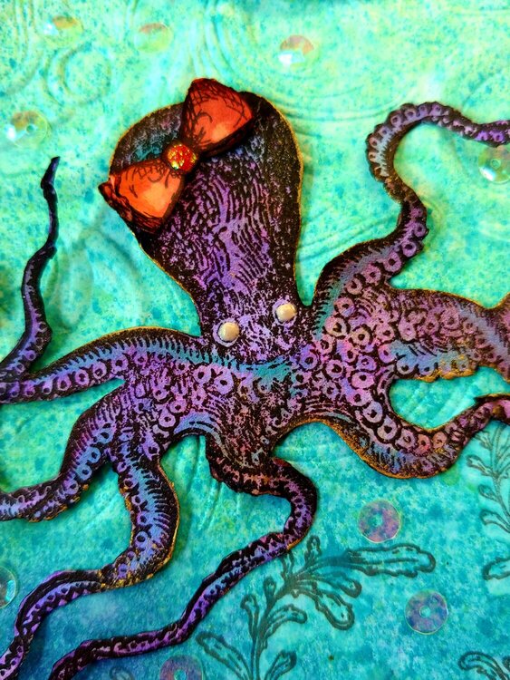 Sea Life Octopus