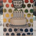 Wish Big