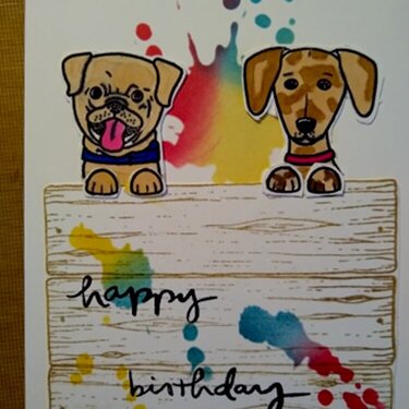 Doggie paintball bday card