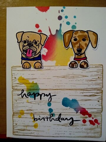 Doggie paintball bday card