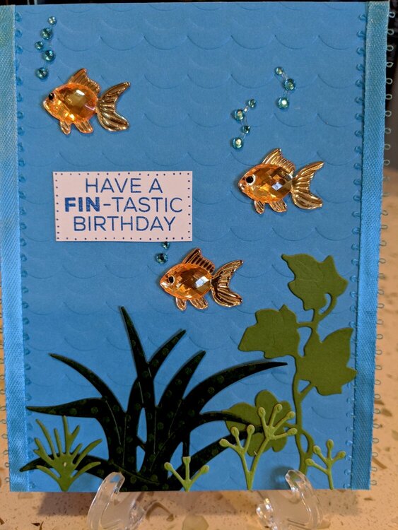 Have a FINtastic Birthday