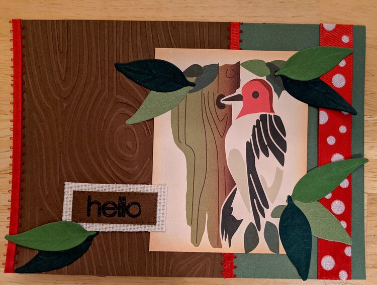 Hello - woodpecker