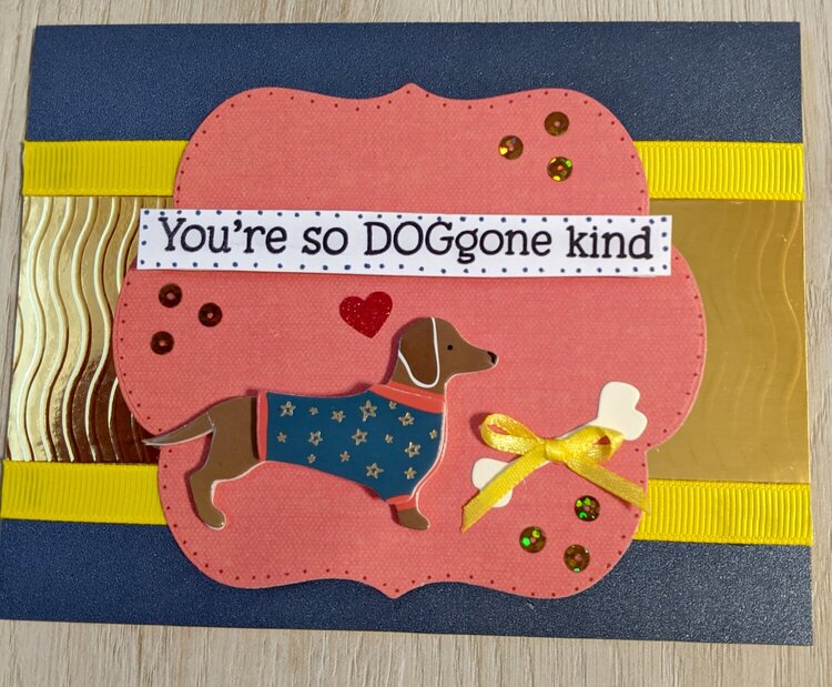 You&#039;re so DOGgone kind