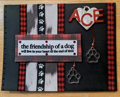 Friendship of a dog...