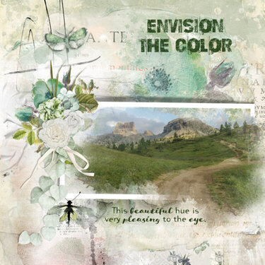 Envision the Color