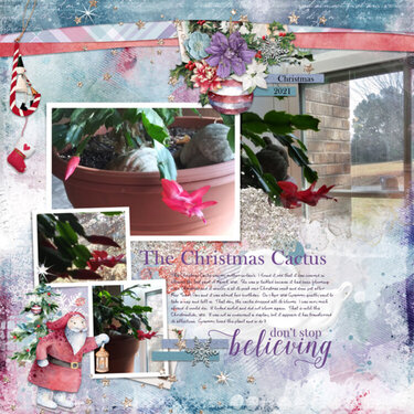 The Christmas Cactus Left