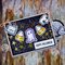 Tiny Frights Banner