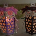 owl lanterns