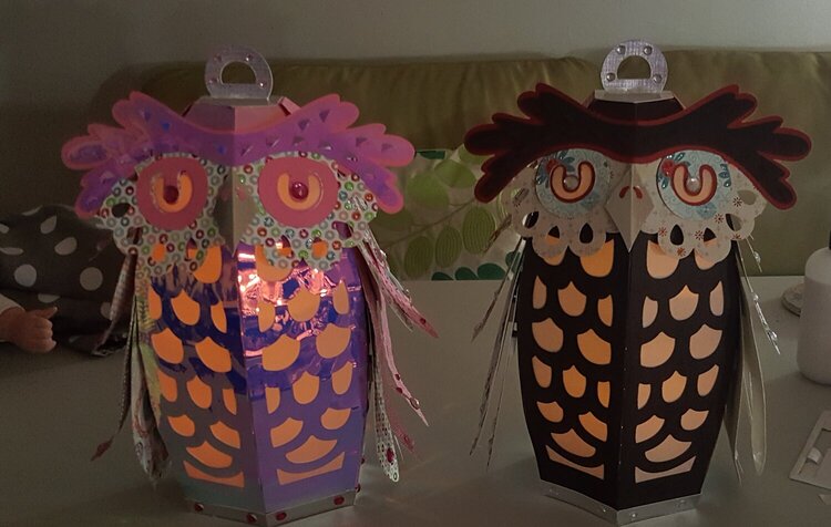 owl lanterns