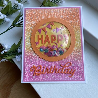 Rainbow Birthday Shaker Card
