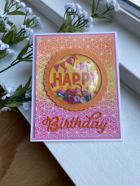 Rainbow Birthday Shaker Card