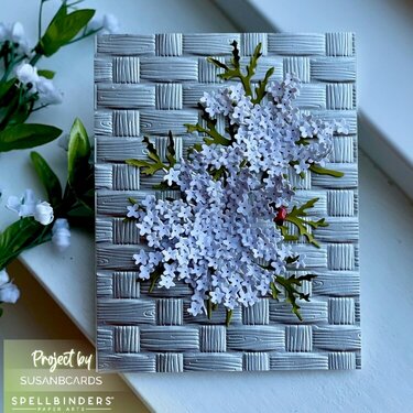 Spellbinders Queen Annes Lace