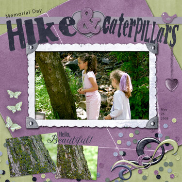 Hike &amp; Caterpillars
