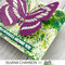 Butterfly Card with Picket Fence Studios