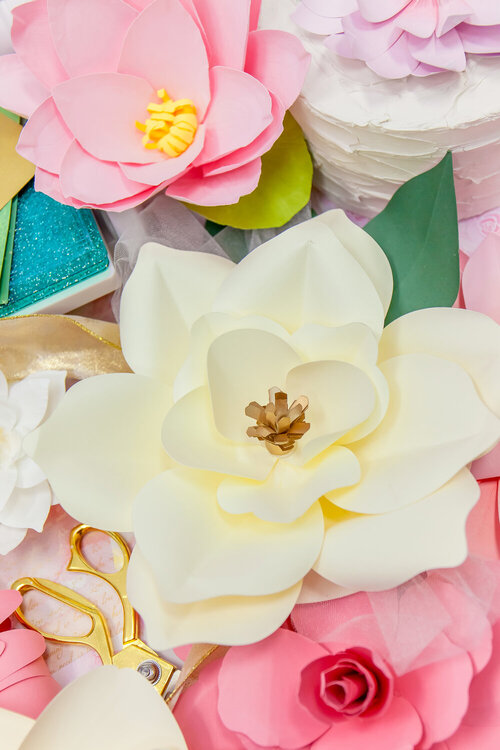 Step-by-Step Paper Flower Decor with David Tutera and Jen Long