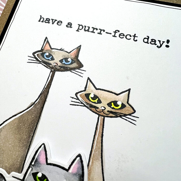 Purr-fect Day