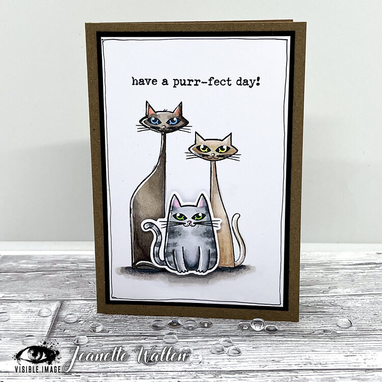 Purr-fect Day