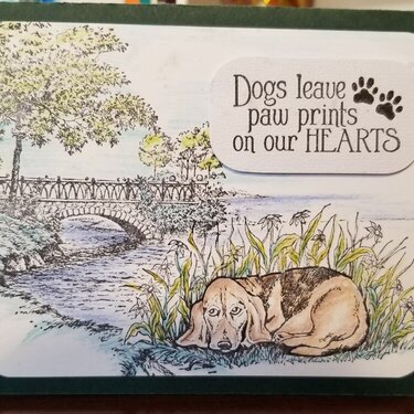 Paw prints on Our Hearts