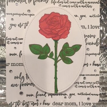 Mother&#039;s Day rose card