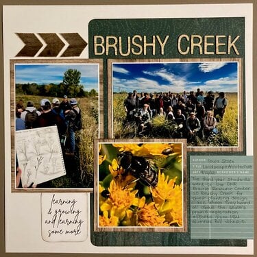 Brushy Creek