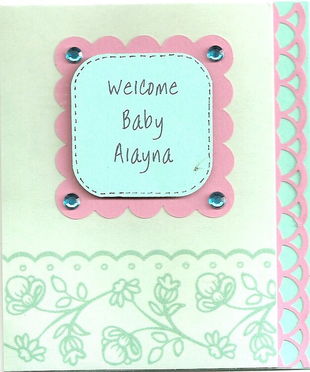 Welcome Baby Alayna
