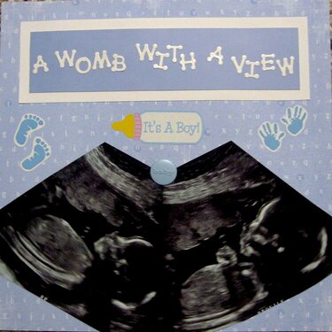 A womb with a view