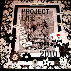{Project Life 2010}