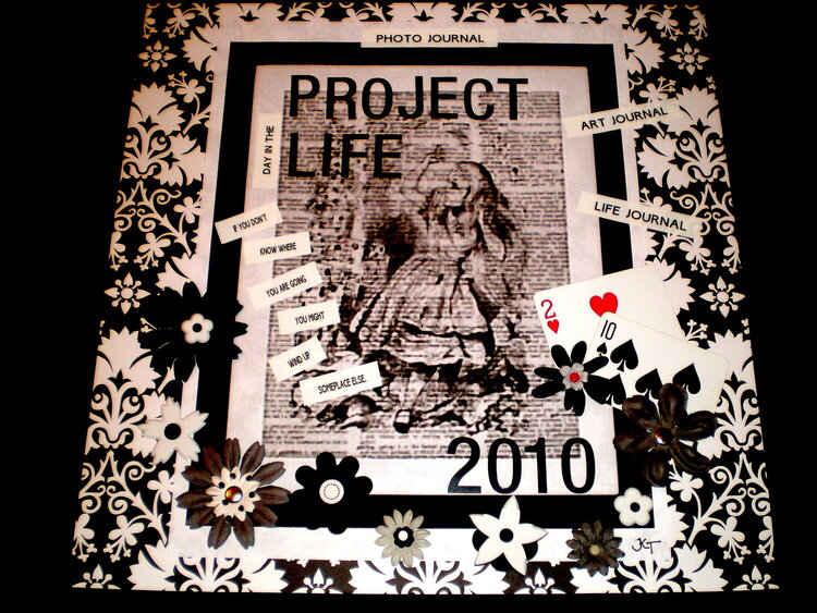 {Project Life 2010}