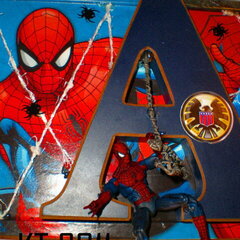 {Spiderman - details}