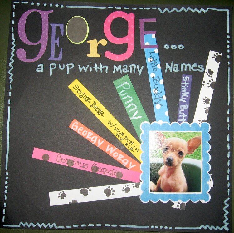 gEorGe... a Pup with many Names