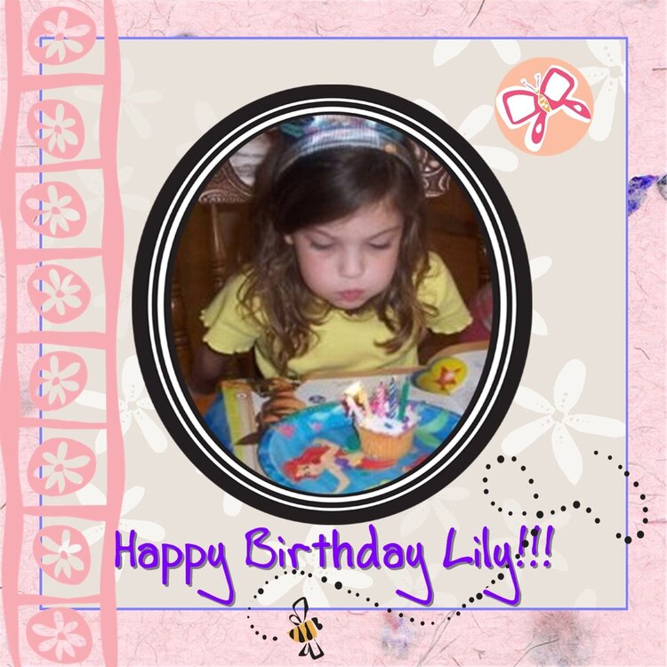 Lily&#039;s Birthday