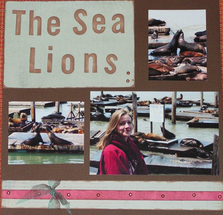 The Sea Lions on Pier 39 in San Fran